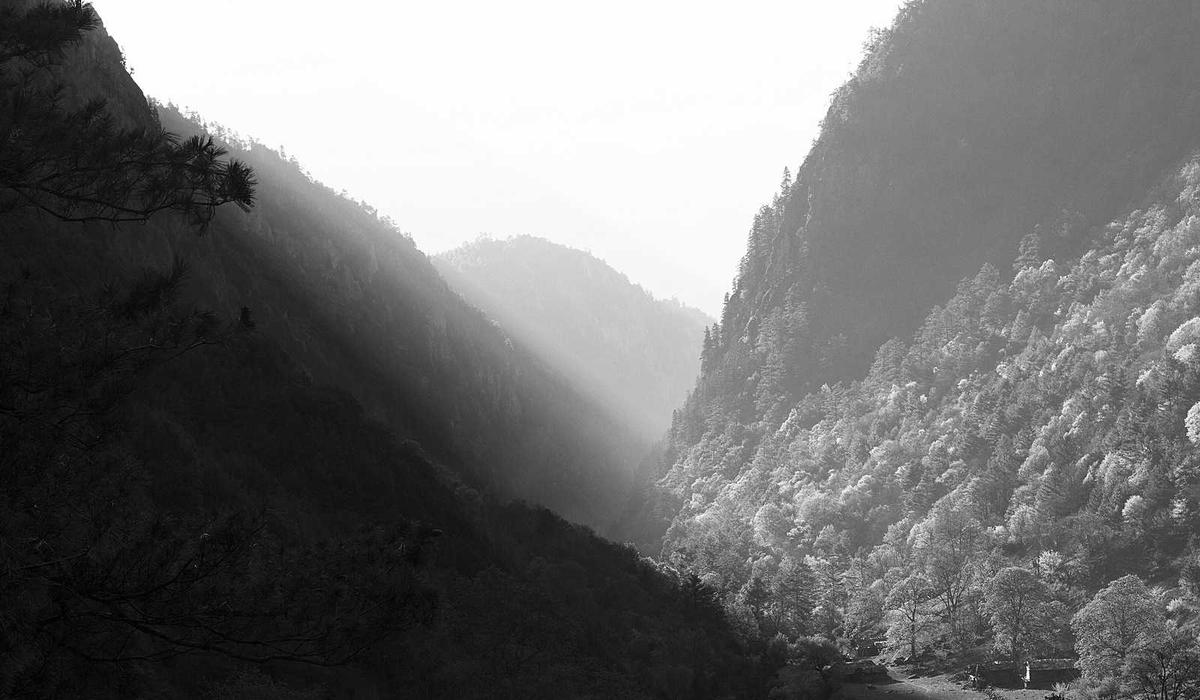 Интерьер клиники